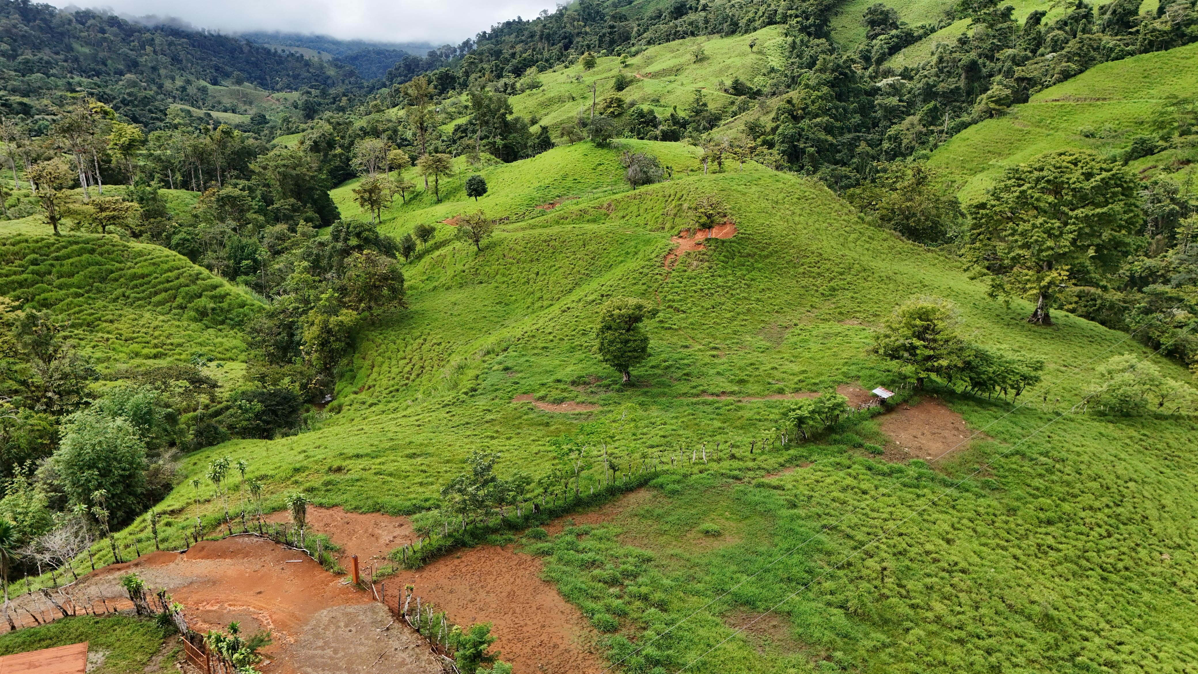 Stunning 56-hectare farm in San Marcos de Barú, Costa Rica.